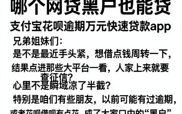 哪个网贷黑户也能贷,详细阐述五个支付宝花呗逾期万元快速贷款app