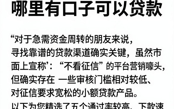 哪里有口子可以贷款,细致阐述5个正规不看征信的小额贷款软件