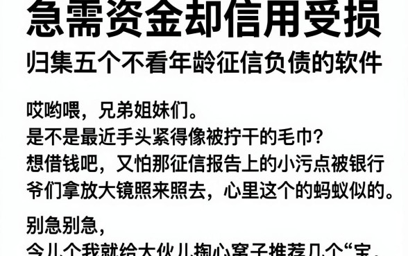 急需资金却信用受损，归集五个不看年龄征信负债的软件