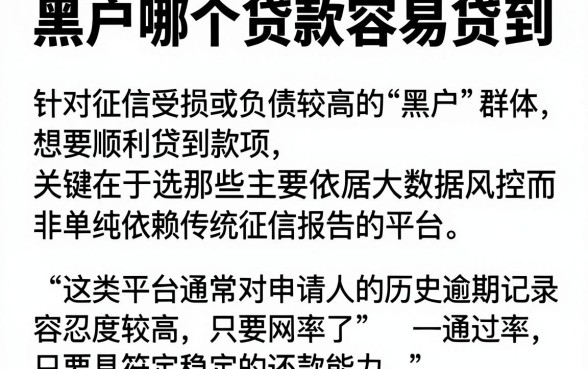 黑户哪个贷款容易贷到，详尽说明5个不看负债和征信的软件