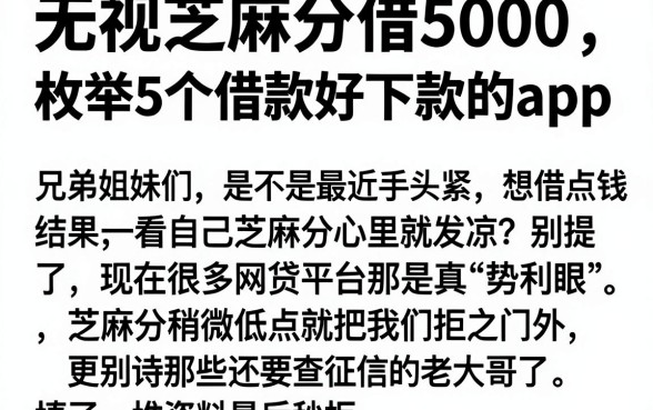 无视芝麻分借5000,枚举5个借款好下款的app