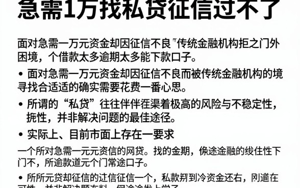 急需1万找私贷征信过不了，详细阐述五个逾期太多能下款口子