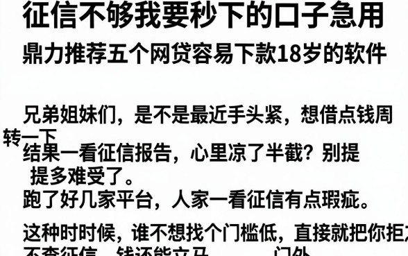 征信不够我要秒下的口子急用,鼎力推荐五个网贷容易下款18岁的软件
