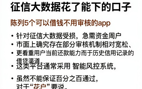 征信大数据花了能下的口子，陈列5个可以借钱不用审核的app