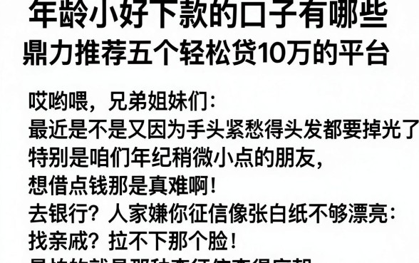 年龄小好下款的口子有哪些，鼎力推荐五个轻松贷10万的平台