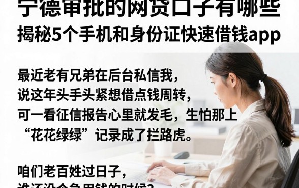 宁德审批的网贷口子有哪些，揭秘5个手机和身份证快速借钱app