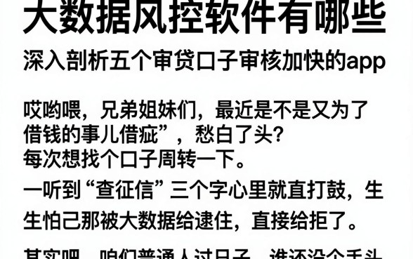 大数据风控软件有哪些,深入剖析五个审贷口子审核加快的app