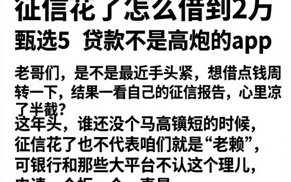 征信花了怎么借到2万,甄选5个黑白贷款不是高炮的app