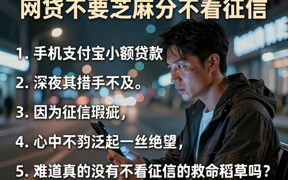 网贷不要芝麻分不看征信,条列5个手机支付宝小额贷款的平台