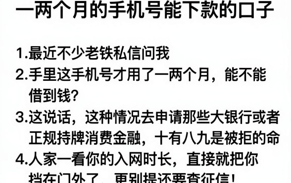 一两个月的手机号能下款的口子，条列五个不看征信查询的口子