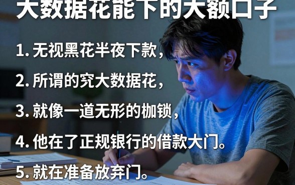 大数据花能下的大额口子,条列五个无视黑花半夜下款的网贷口子