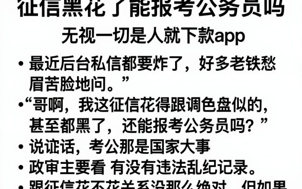 征信黑花了能报考公务员吗，枚举五个无视一切是人就下款app