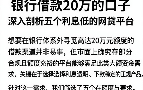 银行借款20万的口子,深入剖析五个利息低的网贷平台