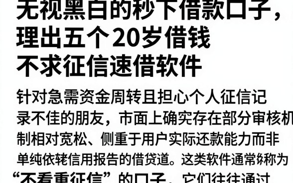 无视黑白的秒下借款口子,理出五个20岁借钱不求征信速借软件