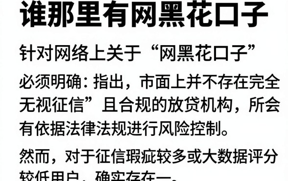 谁那里有网黑花口子，遴选五个快速下款无视征信的平台