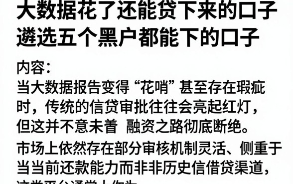 大数据花了还能贷下来的口子,遴选五个黑户都能下的口子