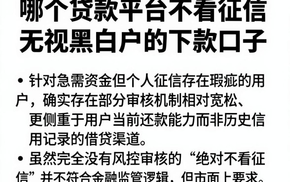 哪个贷款平台不看征信最容易贷到款，理出5个无视黑白户的下款口子