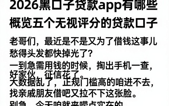 2026黑口子贷款app有哪些，概览五个无视评分的贷款口子