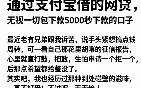通过支付宝借的网贷，枚举五个无视一切包下款5000秒下款的口子