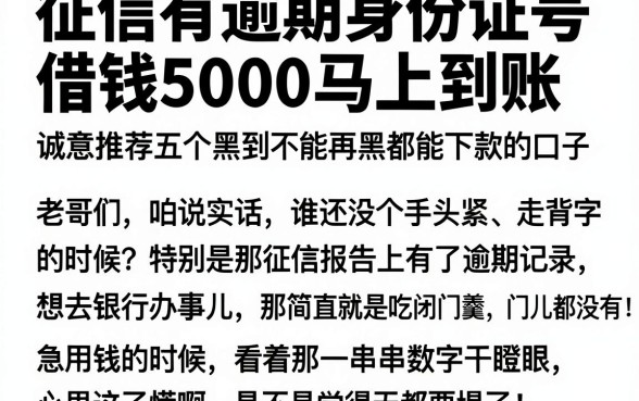 征信有逾期身份证号借钱5000马上到账,诚意推荐五个黑到不能再黑都能下款的口子