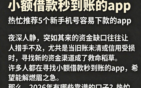 小额借款秒到账的app，热忱推荐5个新手机号容易下款的app