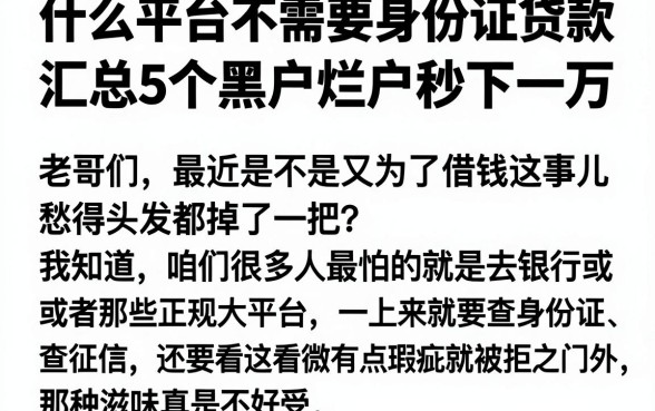 什么平台不需要身份证贷款,汇总5个黑户烂户秒下一万