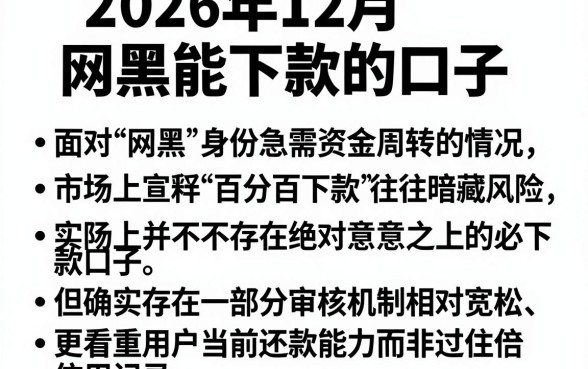 2026年12月网黑能下款的口子,胪列五个不看征信无视黑白百分百下款软件