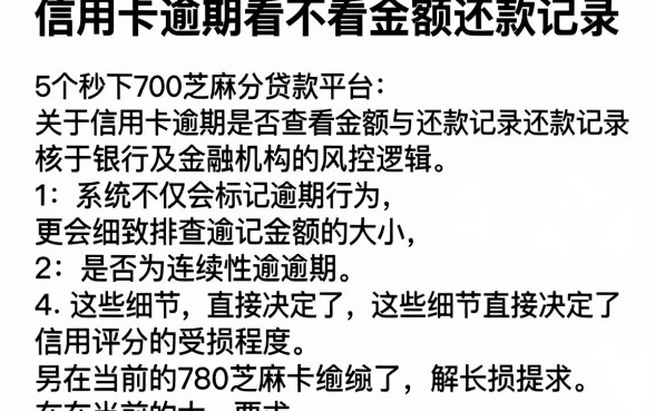 信用卡逾期看不看金额还款记录,细致阐述5个秒下700芝麻分贷款平台