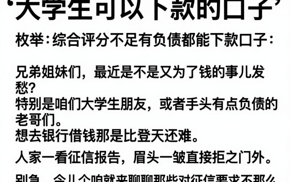 大学生可以下款的口子,枚举五个综合评分不足有负债都能下款口子