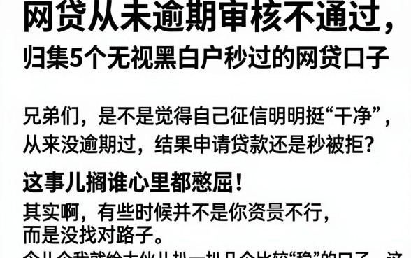 网贷从未逾期审核不通过,归集5个无视黑白户秒过的网贷口子