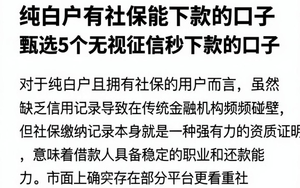 纯白户有社保能下款的口子,甄选5个无视征信秒下款的口子