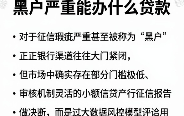 黑户严重能办什么贷款,罗列五个不看征信查询的平台