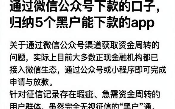 通过微信公众号下款的口子，归纳5个黑户能下款的app