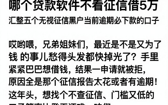 哪个贷款软件不看征信借5万，汇整五个无视征信黑户当前逾期必下款的口子