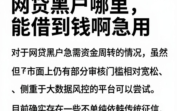 网贷黑户哪里能借到钱啊急用,细致阐述5个最新网贷口子今日整理这五个软件