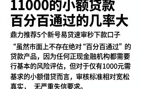 1000的小额贷款百分百通过的几率大，鼎力推荐5个新号易贷速审秒下款口子