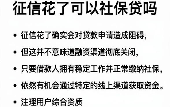 征信花了可以社保贷吗,概括五个手机身份证秒借现金的app