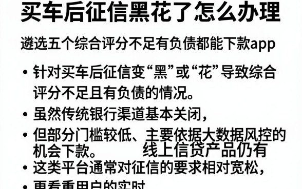 买车后征信黑花了怎么办理，遴选五个综合评分不足有负债都能下款app
