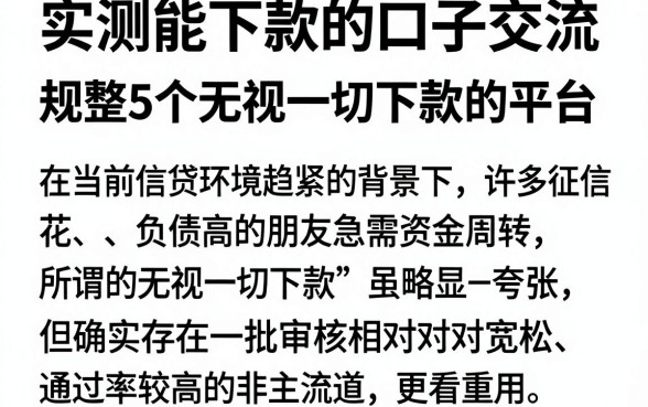 实测能下款的口子交流,规整5个无视一切下款的平台