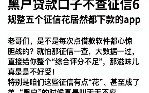 黑户贷款口子不查征信6，规整五个征信花居然都下款的app