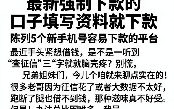 最新强制下款的口子填写资料就下款,陈列5个新手机号容易下款的平台