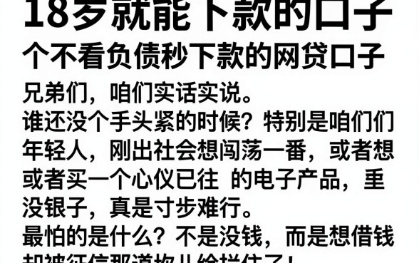 18岁就能下款的口子,详尽说明五个不看负债秒下款的网贷口子