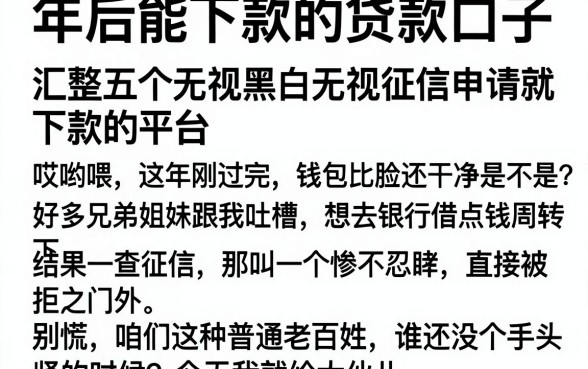 年后能下款的贷款口子，汇整五个无视黑白无视征信申请就下款的平台