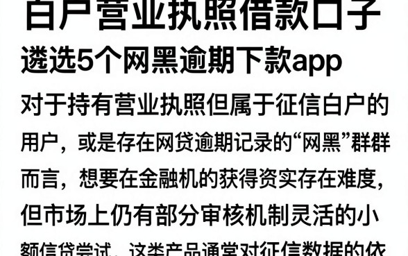 白户营业执照借款口子，遴选5个网黑逾期下款app
