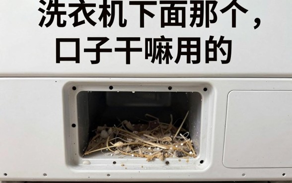 洗衣机下面那个口子干嘛用的,陈列5个不看征信网贷平台放款快的软件