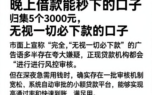 晚上借款能秒下的口子，归集5个3000元无视一切必下款的口子