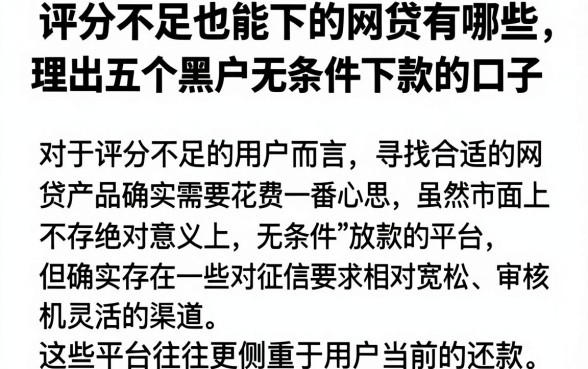 评分不足也能下的网贷有哪些,理出五个黑户无条件下款的口子