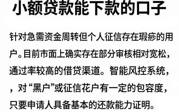 小额贷款能下款的口子,汇整五个不看黑户下款的软件
