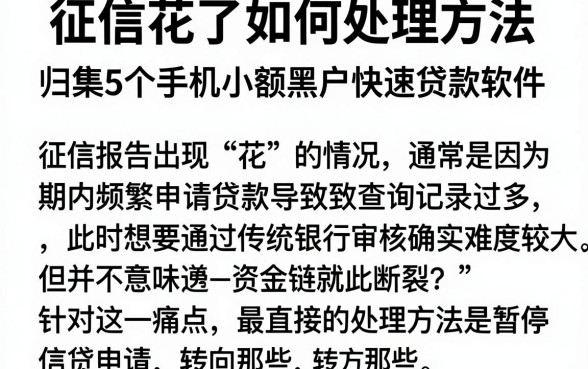 征信花了如何处理方法，归集5个手机小额黑户快速贷款软件