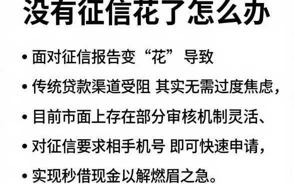 没有征信花了怎么办,理出五个手机身份证秒借现金的软件